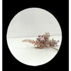 信栄物産 什器（ロッカー）用樹脂平面ミラー JM丸1-1C 1枚