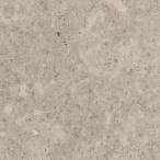 サンゲツ フロアタイル ストーン&アクセント フォッシルストーン 304.8×304.8×2.5mm IS-2098