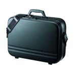  Sanwa Supply semi твердый PC кейс двойной BAG-716BK2