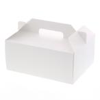 simojimaHEIKO коробка N Carry кейс 25 листов белый 240×180×105+ ручка 50mm 004248083 25 листов 