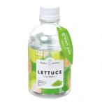 聖新陶芸 ク゛リーンヘ゜ット レタス GD-100204 1個