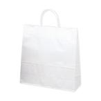 sa SaGa wa рука . пакет белый одноцветный 10P 50-6200 10 листов 