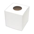 sa SaGa waBIG. выбор коробка белый 27cm угол 37-7916 1 шт 