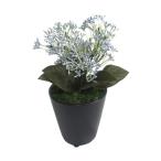 ササガワ人工観葉植物ブルースキニア...