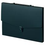 se регулирование aruta-to кейс чёрный ART-602-BK 1 пункт 