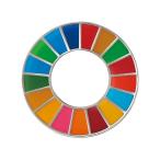 セキセイ SDGSマグバッジ SDG-2000-00 1点