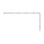 TJMデザイン 等厚曲尺同目50cm KA-M5