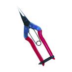  близко правильный chikamasa...T-500