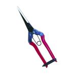  близко правильный chikamasa. порез . длинный T-570 1