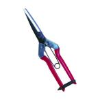  близко правильный chikamasa синий ..T-700 1 пункт 