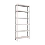トラスコ 軽量棚中棚ボルトレス型８７５Ｘ３００Ｘ２１００６段ネオグレ NG L73V-16 NG(ネオク゛レー)