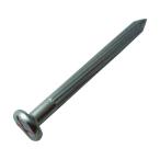 トラスコ メジャーネイルサイズ１０Ｘ２０Ｘ１００砂利道用（４本入） 201 x 77 x 24 mm TMN-4