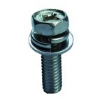 トラスコ 座金・ばね座金組込十字穴付六角ボルト SUS M4X10 53本入 100×55×23MM Y336-0410