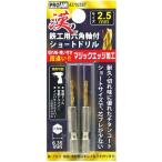 豊光 漢の鉄工ショートドリル2．5mm2P 437025ST