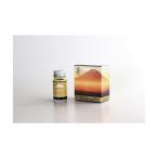 寺西化学工業 ギターFU