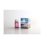 寺西化学工業 ギターFU