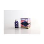 寺西化学工業 ギターFU