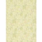 トキワ工業 壁紙 PINEBULL 日比谷花壇 ナチュラル 多肉植物 巾92.8cm×1m TWP9073