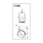 ユーエイ 双輪キャスター自在車４０径ナイロン車輪Ｍ１２×１４Ｐ１．２５ 65 x 38 x 49 mm PT-40T-M12 1