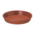 ��ޥ� �ե쥰�顼�ץ졼��18���� �֥饦��