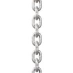 ショッピングc10s 象印チェンブロック チェーン C10-5 (ZC10-S05) 1点