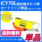 ICY70L詰め替えセット用 永久ICチップ