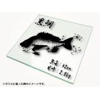 オーダー魚拓カッティングシート カッティングシート文字 型抜きステッカー A2サイズ魚長・目方入り