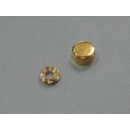 メール便可 山伸 化粧飾止 １２ｍｍ ゴールド 金属 表札 ネームプレート ネジ隠し ＤＩＹ 写真立て