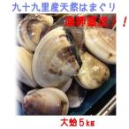 千葉九十九里産天然活はまぐり　大蛤　５ｋｇ　採れたて直送　新鮮　蛤　ハマグリ