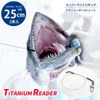 太刀魚 ジギング ワイヤー チタンリーダー ストレート スーパーライトジギング タチウオ サワラ ヒラメ サゴシ 25cm 2本入 柊