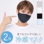 冷感マスク 洗える ひんやり マスク ブラック 黒 男女兼用 2枚入 マスク サイズ調節 UVカット 蒸れない 無地 立体 伸縮性 レギュラーサイズ 花粉対策 大人用 椚