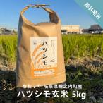 岐阜県美濃地方だけで育つ隠れた名品　【令和7年産】ハツシモ玄米 5kg