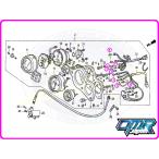 [ новый товар ] Wedge лампочка ( измерительный прибор лампочка ) NSR250R MC18