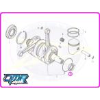 【新品】 左クランクサイドシール (オイルシール)　NSR250R MC21 MC28 MC18(89)