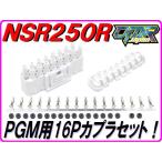 PGM для 16P белый мужской сцепщик NSR250R MC21 MC28 [DMR-Japan]