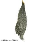 ティムコ(TIEMCO) METZ Cock Neck Hackle メッツ コックネックハックル  グリズリー #3 1/2 91333