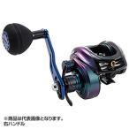 ソルティーステージ ジギング