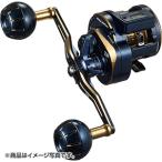 DAIWA（釣り） 23 ソルティガIC 100H-DH 釣り ベイトリール - 最安値