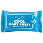 クール ボディウェットティッシュ10枚　/衛生/清掃/掃除/ティッシュ/景品/粗品/ノベルティ/販促品/プレゼント　★800個以上で送料無料