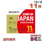 「日本製」SONY (ソニー) BD-RE XL データ&録画用 100GB 1-2倍速 11枚 (11BNE3VZPS2)