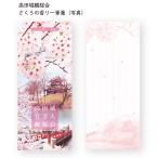  Sakura. аромат один кисть . takada замок . Sakura . фотография 