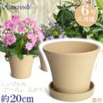 цветочный горшок модный дешевый керамика размер 20cm DL rose 6 номер белый .. тарелка есть салон наружный белый цвет 