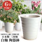 ショッピング陶器 植木鉢 おしゃれ 安い 陶器 サイズ 19.5cm フラワーロード 6号 白釉 室内 屋外 ホワイト 白 色