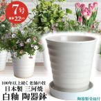 植木鉢 おしゃれ 安い 陶器 サイズ 22cm フラワーロード 7号 白釉 受皿付 室内 屋外 ホワイト 白 色
