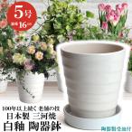 �A�ؔ� ������� ���� ���� �T�C�Y 16.5cm �t�����[���[�h 5�� ���� ��M�t ���� ���O �z���C�g �� �F