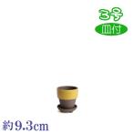 ڼաۡ¥饤ա⥫ޤ֤ ͣ­ռ⥫