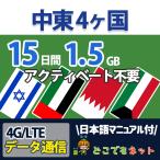 中東 4か国 プリペイド SIMカード 