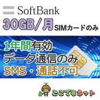 日本 ソフトバンク 格安 SIM プリペイド データ通信 SIMカード SoftBank 純正 4G/LTE 30GB/月 大容量 テレワーク 在宅ワーク 送料無料