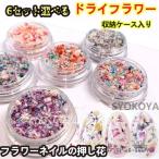 6セット選べる ドライフラワー 花び