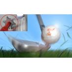 ゴルフ クラブ スピンバイト アイアン バックスピン 回復 V溝 U溝 両用 アイアン 溝削り 溝 クリーナー シャープナー 汚れ落とし